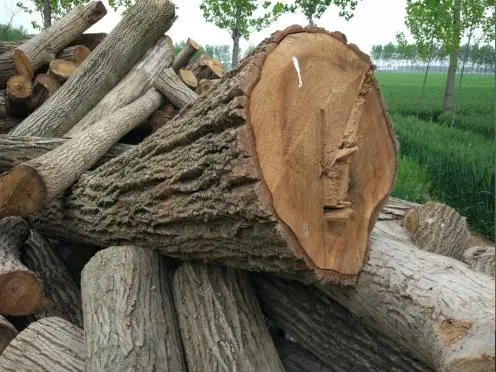 中國(guó)暖氣片十大品牌 中國(guó)暖氣片十大品牌